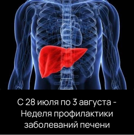 С 28 июля по 3 августа - Неделя профилактики заболеваний печени (в честь Всемирного дня борьбы с гепатитом 28 июля)